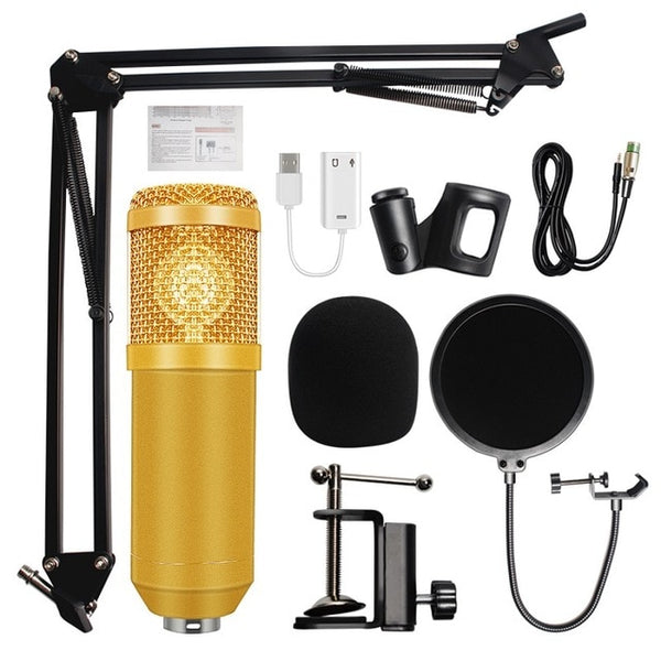 BM-800 Condenser Studio Microphone Kit